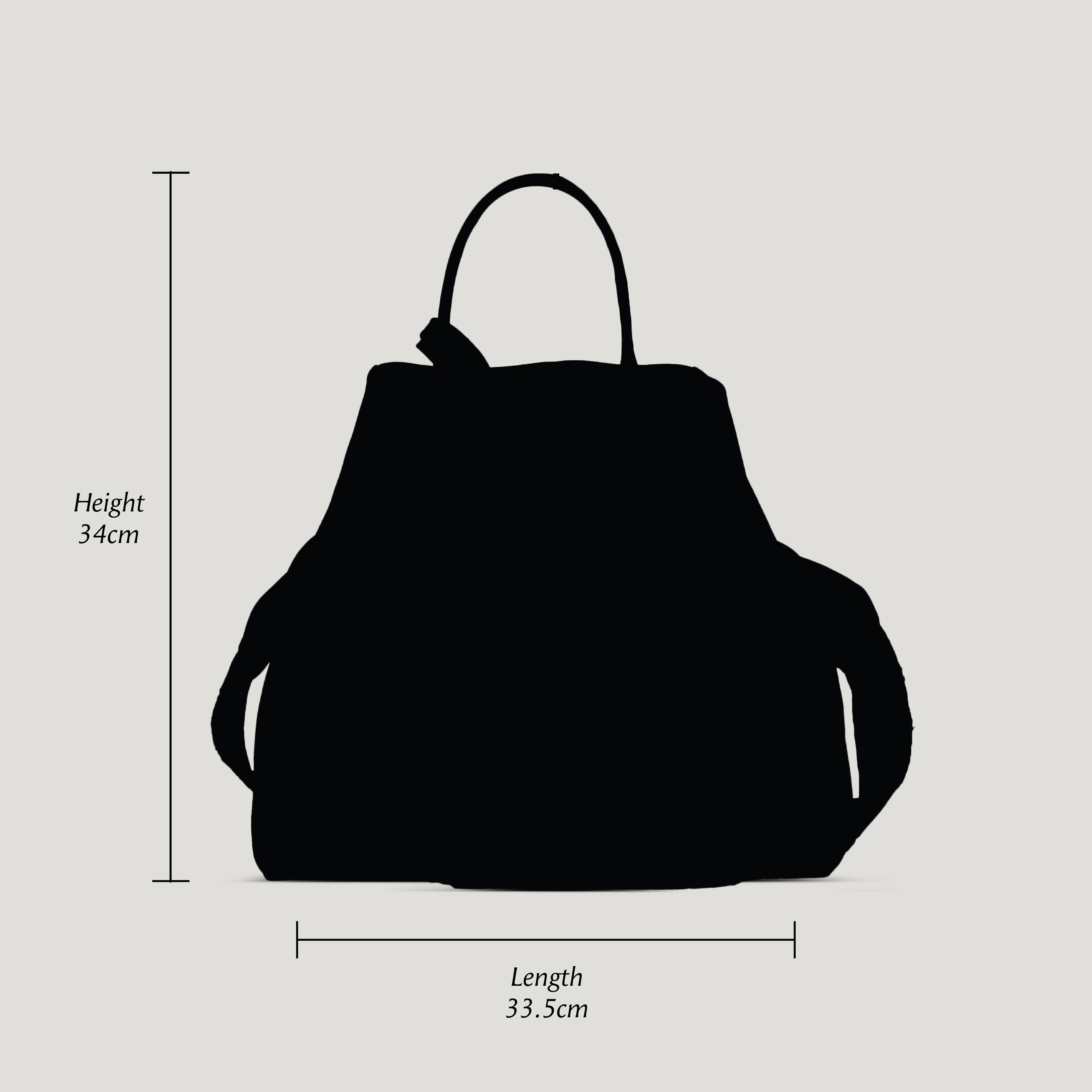 Carreta Handbag